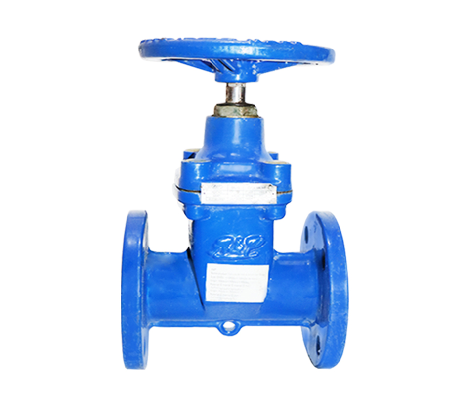 Valvula Compuerta Hd Bridada Vastago Fijo 63mm - Dn50
